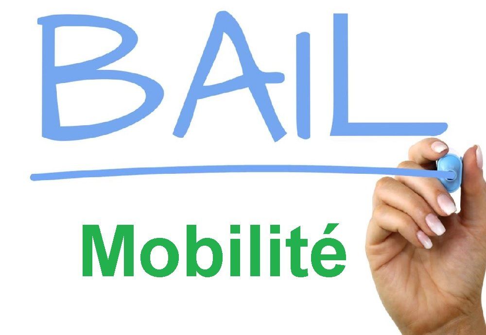 5c3ef9a740931 presentation bail mobilite loi elan immobilier conditions location